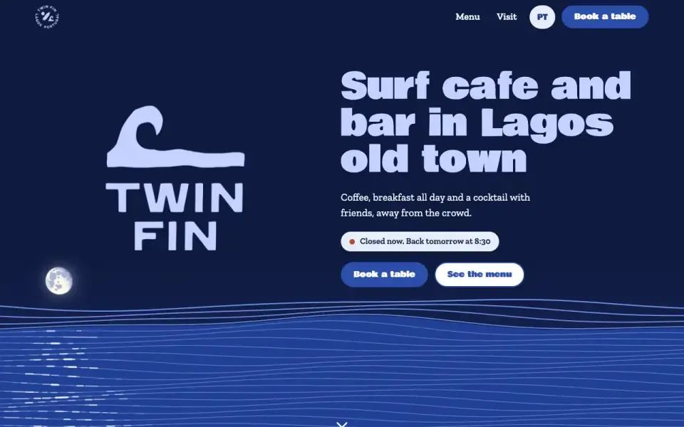 Twin Fin on a laptop